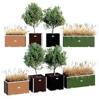 Trees Polyrattan (145503)