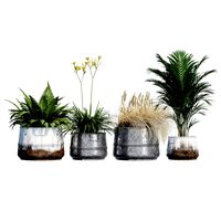 Cowden 3-Piece Iron Pot Planter Set (145263)