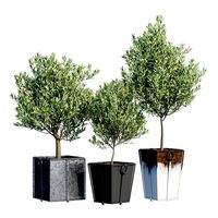 Trinway Metal Pot Trees (143264)
