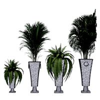 Plant Set (140687)