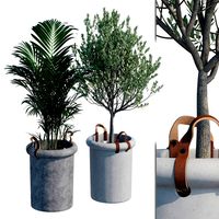 Trees in concrete planter (140589)