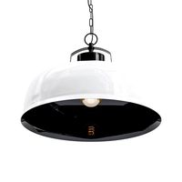 Essex Pendant light (138617)