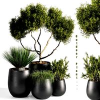 Plant outdoor set 02 (138532)