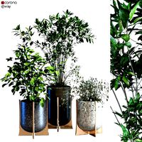 Plant in box set 090 (138391)