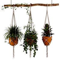Hanging Houseplants with Macrame Set 01 (138080)