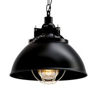 Helmut Industrial Shade Pendant (138064)