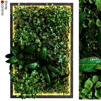 Vertical plant set 087 (137591)