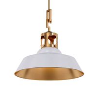 MAC by Urban Electric Pendant (137055)