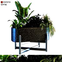Plant in box set 062 (135023)