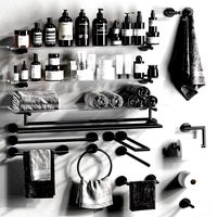Tara Logic Dornbracht Bathroom accessories (134336)