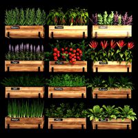 Home plants (127177)