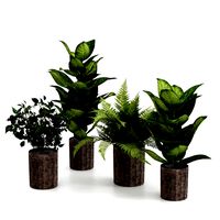 Houseplants set (126347)