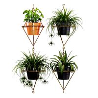 Plants (125728)
