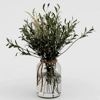 Bouquet of olive (125208)