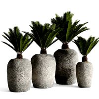 Restoration Hardware Cantera Planters With Sago Palm (123212)