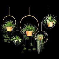 Hanging Plants Crescent (123064)