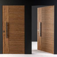 Frameless Door 2 Type Minimal (122533)