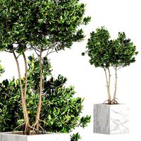 Flower Pack 157 (122375)