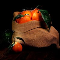 Bag with tangerines (119225)