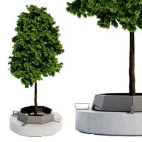 Box two I Park bench and tree (116730)