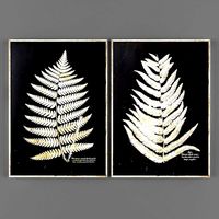 Picture set 173 (115918)