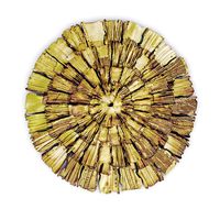 Wall Decor by Rooma Design 01  (115809)