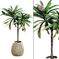 Flower Pack 27 (115583)