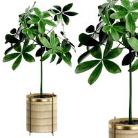 Flower Pack 23 (115559)