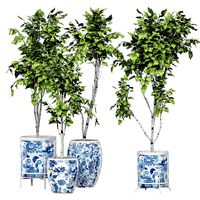 Flower Pack 148 (115556)