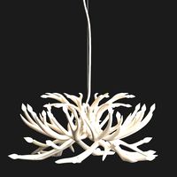 Chandelier Antlers 24 Antlers White Von Roll & Hill (114468)