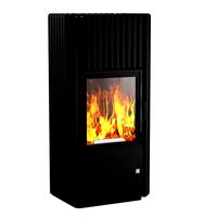 Ray Xtra fireplace stove (113669)