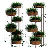 Exteta two Pot Plants (112020)