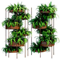 Exteta one Pot Plants (111984)