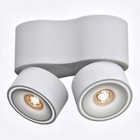 Spot Lamps Ceiling Double CENTRSVET (110689)