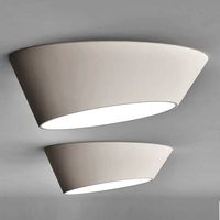 Ceiling Lamp CENTRSVET (110676)