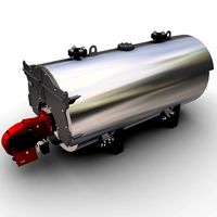 Gas boiler