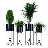 Erdmann Iron Pot Planter Set (108947)