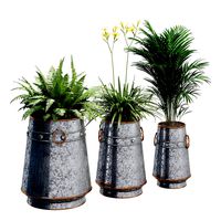 Barrel Plants Set (108675)