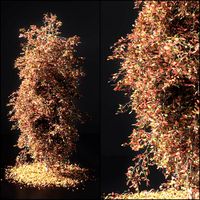 Autumn tree 001 (107231)