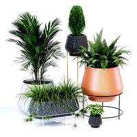Vasap One Potted Plants (101530)
