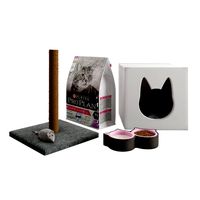 Accessories for cats 01 (61334)