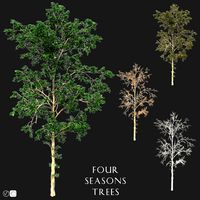4 Seasons Trees (52317)