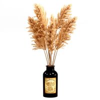Bouquet of pampas grass (44810)