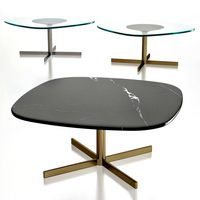 SERISSA COFFEE TABLE SAHARA NOIRE MARBLE (44628)