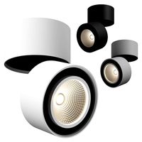 21383x Forte Muro Lightstar Consignment Light (37473)