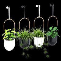Bolo planter (25033)