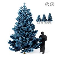 Blue Spruce Picea Pungens (3.5-4.5 meters) (23738)