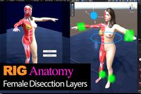 RIG Female Dissection Anatomy Full Human Body