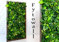 Vertical Garden Wall Plants (22379)