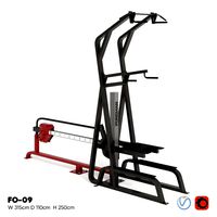 Foreman FO-09 The Exercise Machine for pull-ups and push-ups (22003)